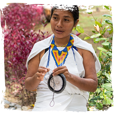 Excursion sur une île locale