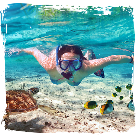 Snorkeling dans les lagons